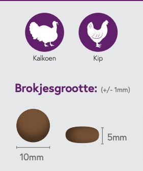 Encommium Onrecht Opmerkelijk FRISK Kalkoen & Kip voor volwassen katten | 5 KG – hondenenkattenvoeding.nl
