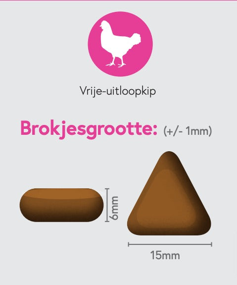 FRISK Vrije-uitloopkip met 5 superfoods: Gember, Granaatappel, Boerenkool, Artisjok & Bosbes voor volwassen honden | 12 KG